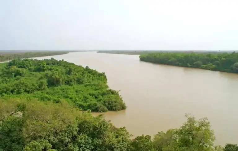 Fleuve Gambie : LE NIVEAU MONTE À KÉDOUGOU, MAIS RESTE SOUS LA COTE D’ALERTE